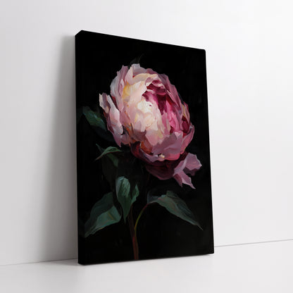 Black Background Pink Peony Canvas Art - Modern Floral Print