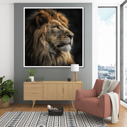 Majestic Lion Canvas Wall Art - Wild Animal Modern Home Decor