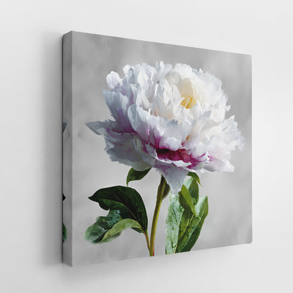 White Peony Flower Canvas Wall Art - Large Square Floral Painting for Living Room